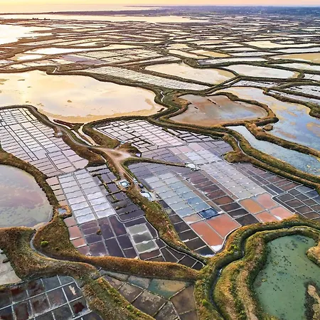 Votre Cocoon à 10 Min De St-nazaire